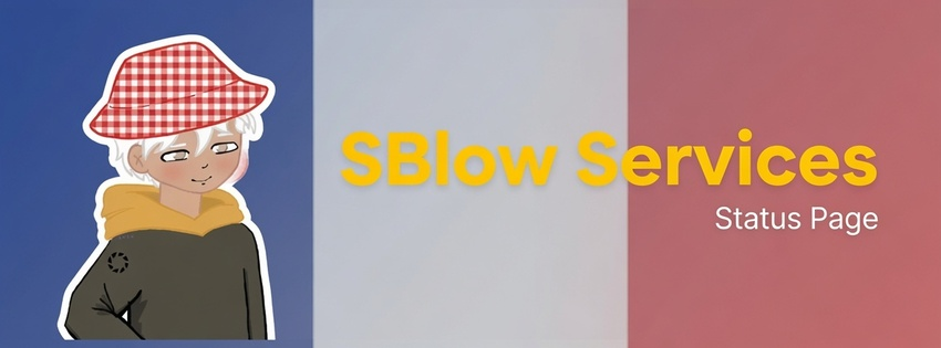 Banniere SBlow Services